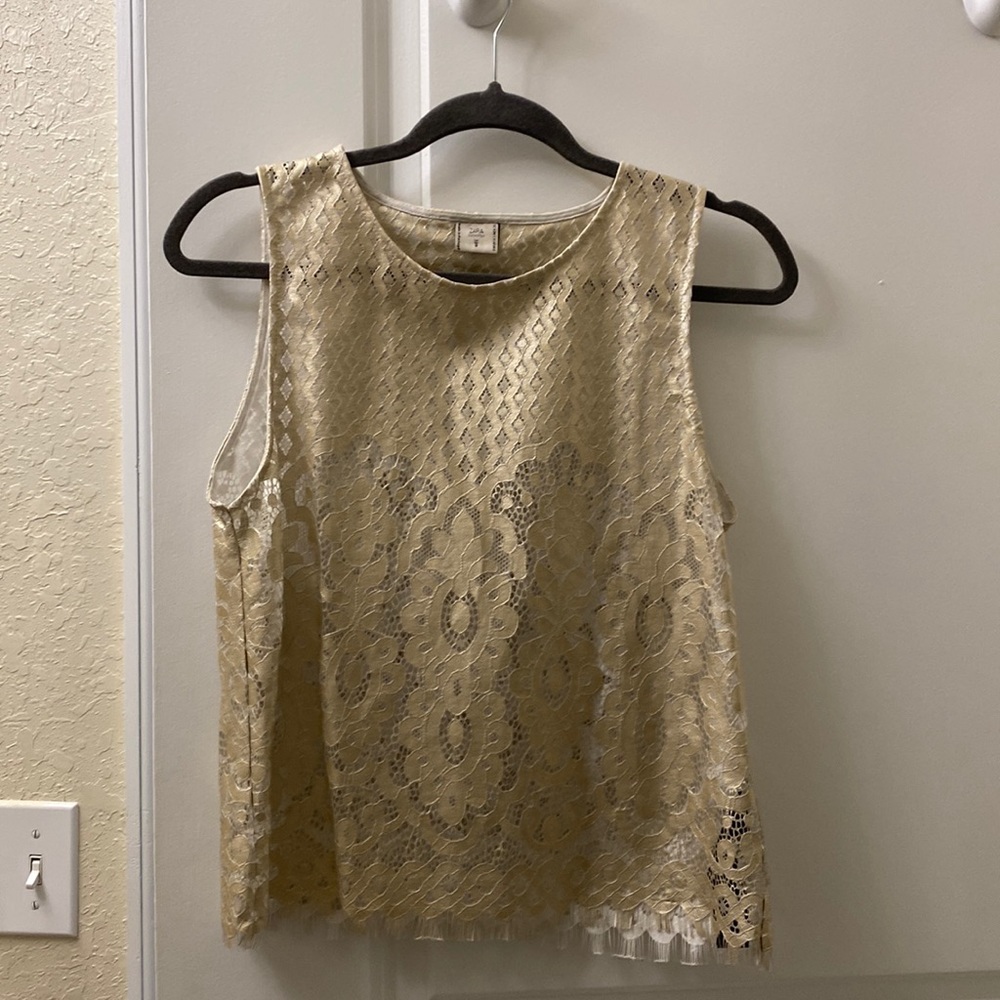Never Worn Champagne Zara Top